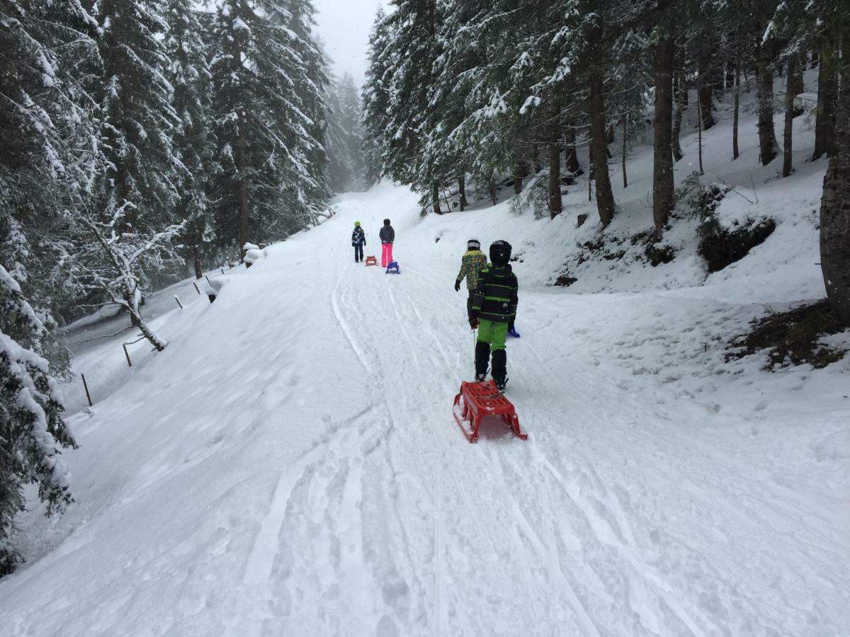 Chalet Rouge Coeur Bex Εξωτερικό φωτογραφία