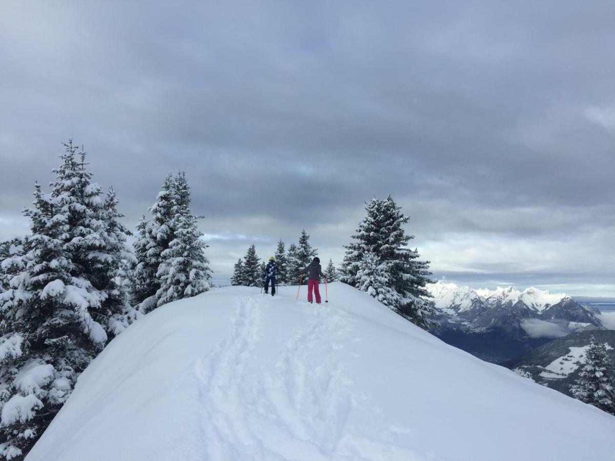 Chalet Rouge Coeur Bex Εξωτερικό φωτογραφία
