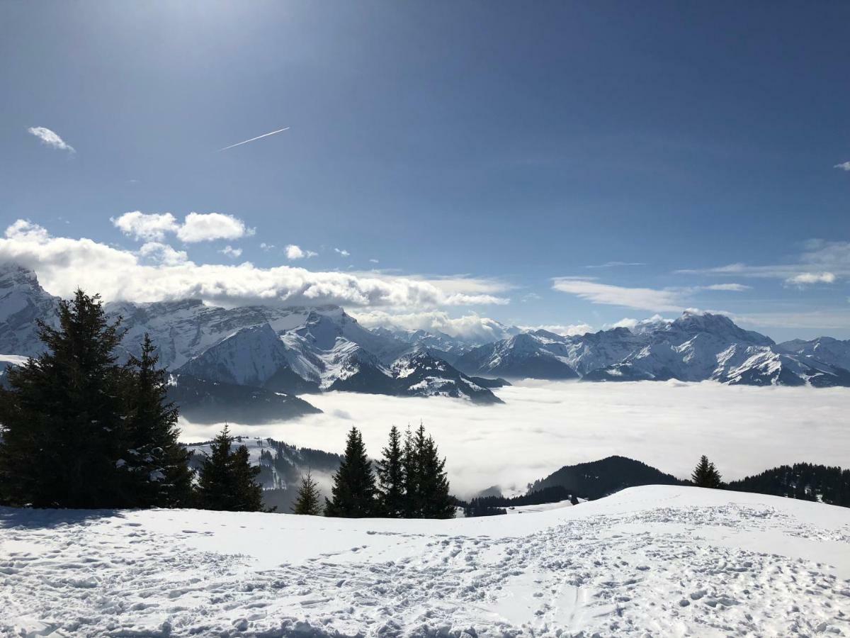 Chalet Rouge Coeur Bex Εξωτερικό φωτογραφία