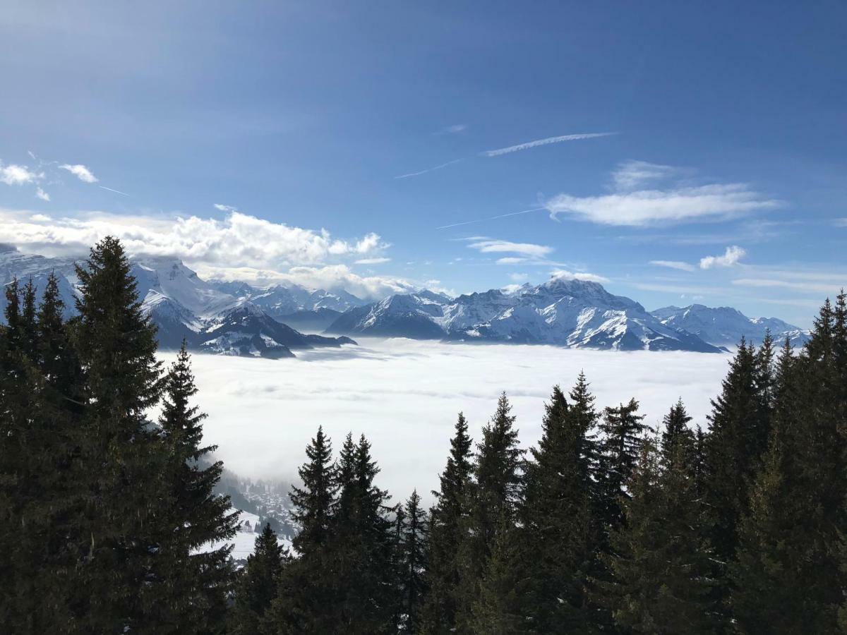 Chalet Rouge Coeur Bex Εξωτερικό φωτογραφία